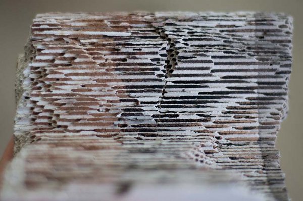 Сажевый фильтр: что такое регенерация и какое масло использовать