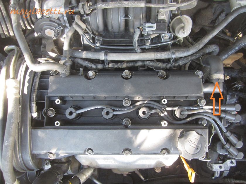 Замена прокладки клапанной крышки Лачетти Замена прокладки клапанной крышки Лачетти