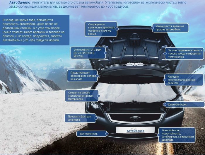 автомобильное одеяло