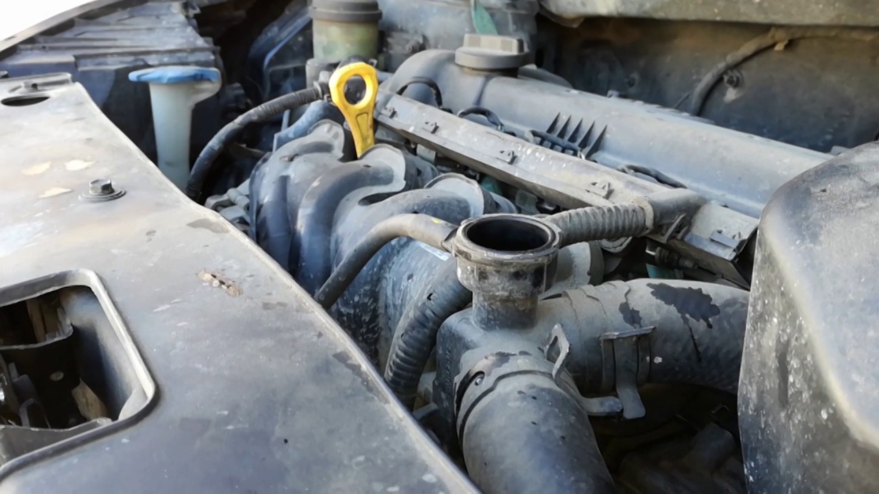 Замена антифриза Киа Рио своими руками