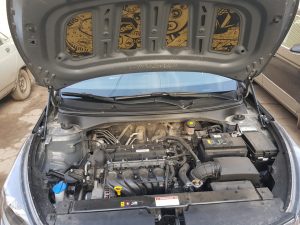 Газовые упоры капота вместо