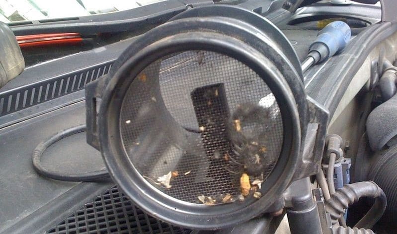 Воздушный фильтр автомобиля: конструкция и правильная замена