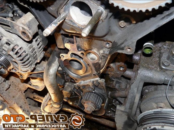 ГРМ на Киа Спортейдж 3: дигностика, инструкция по замене